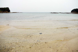 藍島の千畳敷海写真
