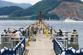 日明・海峡釣り公園写真